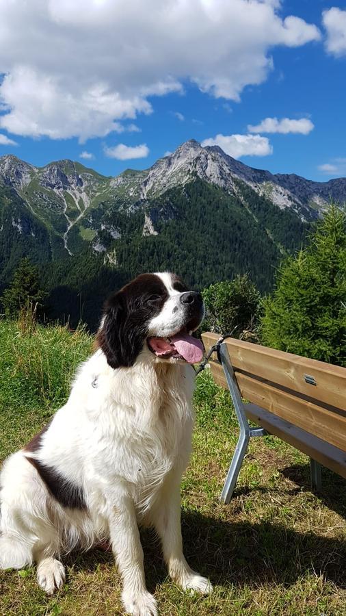 Hotel Des Alpes 포폴로 외부 사진